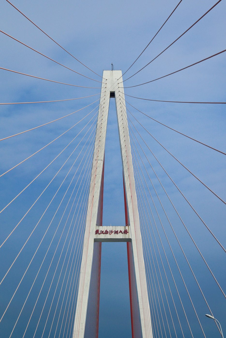 Torre e stralli di un ponte strallato